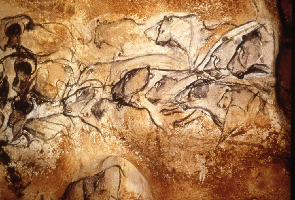 Interior of Chauvet Cave, showing ancient drawings of animals on wall