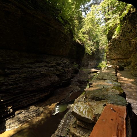 A path at Watkins Glen State Park